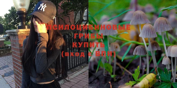 ALPHA PVP Володарск