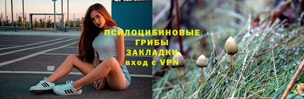 PSILOCYBIN Верхний Тагил