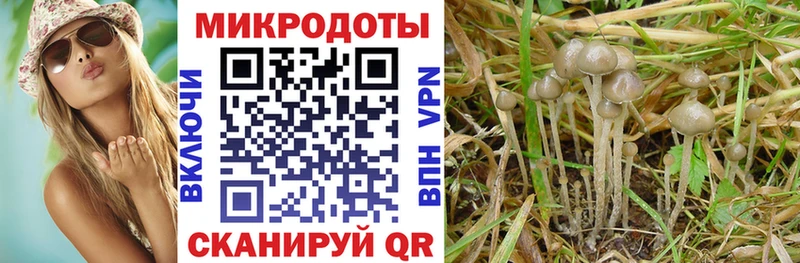купить наркотики сайты  Южно-Сухокумск  Псилоцибиновые грибы ЛСД 